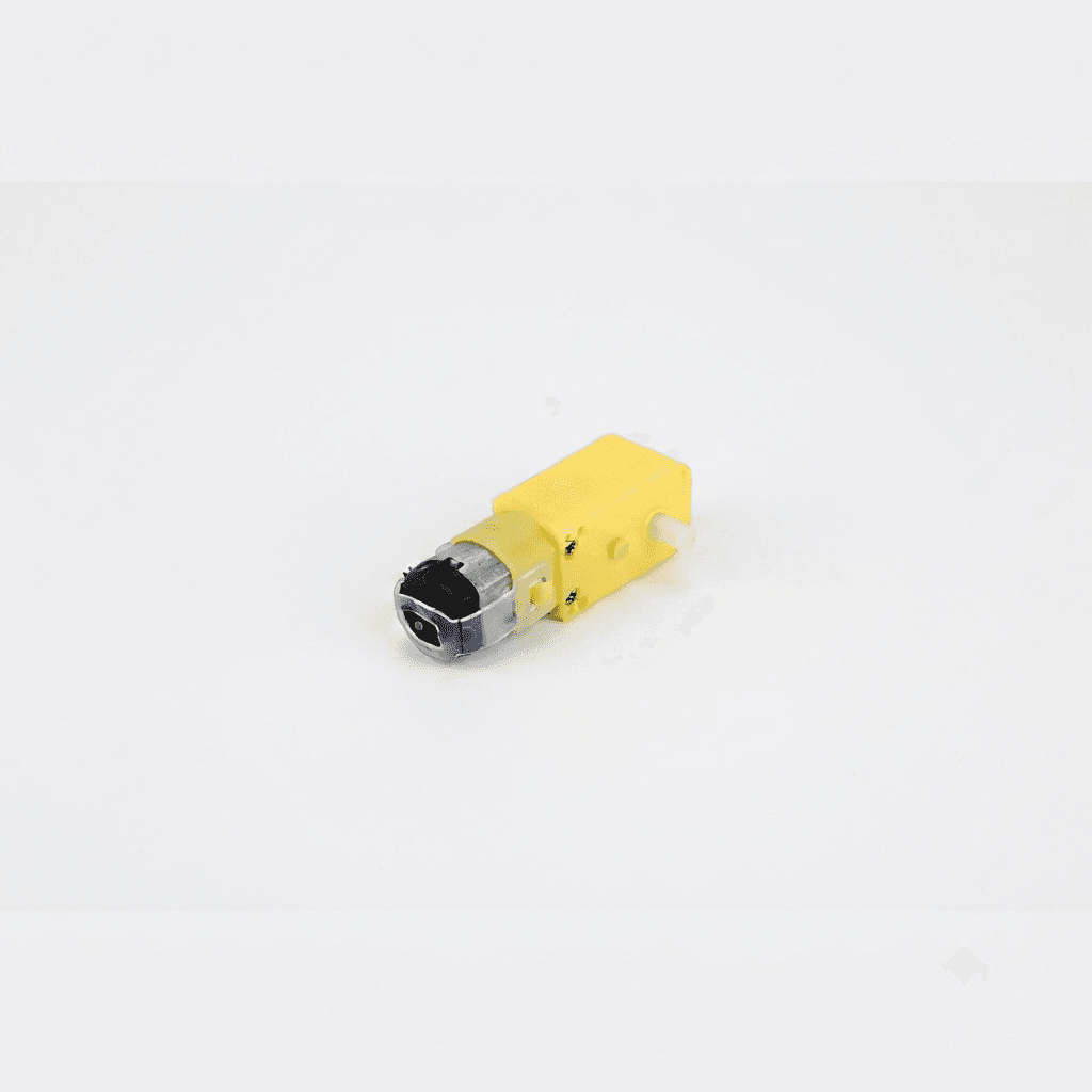 100 RPM BO Motor 